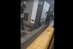 Nyc Police Was Ready To Take Out A Woman Because She Was Having A Mental Breakdown With A Knife