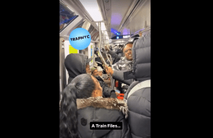 Jamaican Man Admits He Came To America To Marry American Men After A Girl Went Off On Him For Looking At Her Man