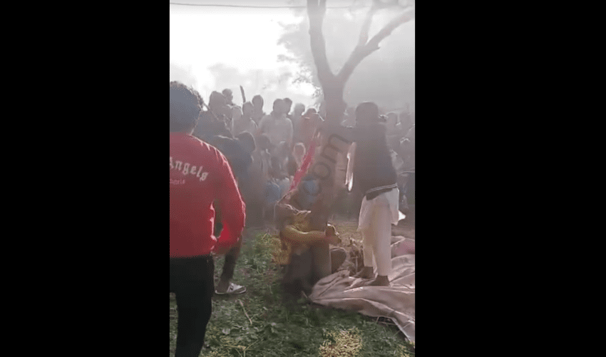 Man And Woman Tied To Tree And Pays The Consequences For Stealing In India