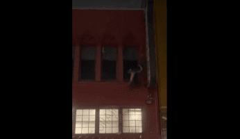 Neighborhood Watchers Caught A Homeless Man And His Dog Jumping Off A Roof To Take Them Both Out