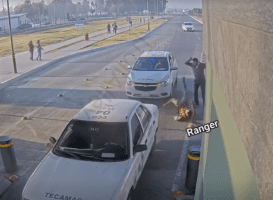 He Never Knew It Was His Last Day With Two Legs