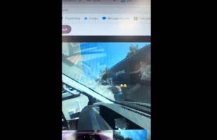 Two Amazon That Didn’t Like Each Other Catch Fade While On Their Routes