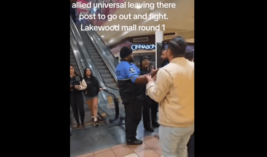 Dude Wanted To Throw Hands With A Female Security Guard At The Mall After Kicked Him Out