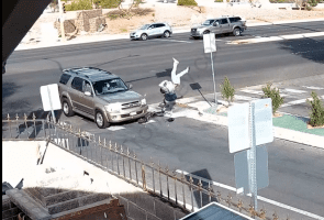 Dude Forgot To Look Both Ways Before Crossing