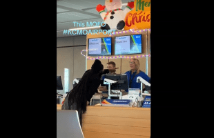 Dude Crashed Out On Everybody At The Airport Because He Been There For Hours