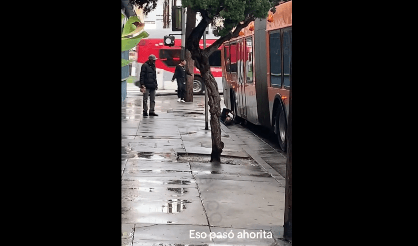 When Running Behind A Bus Goes Terribly Wrong