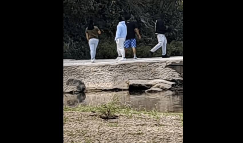 Father Gets Mad After He Seen Some Yns Shooting Their Guns While He Was Fishing With His Son