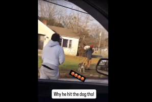Dude Pulled Up With His Strap And Checked A Man And His Dog For Playing With His Money