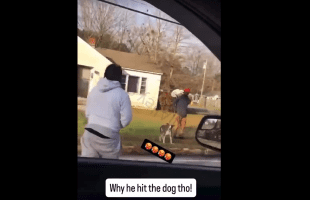 Dude Pulled Up With His Strap And Checked A Man And His Dog For Playing With His Money