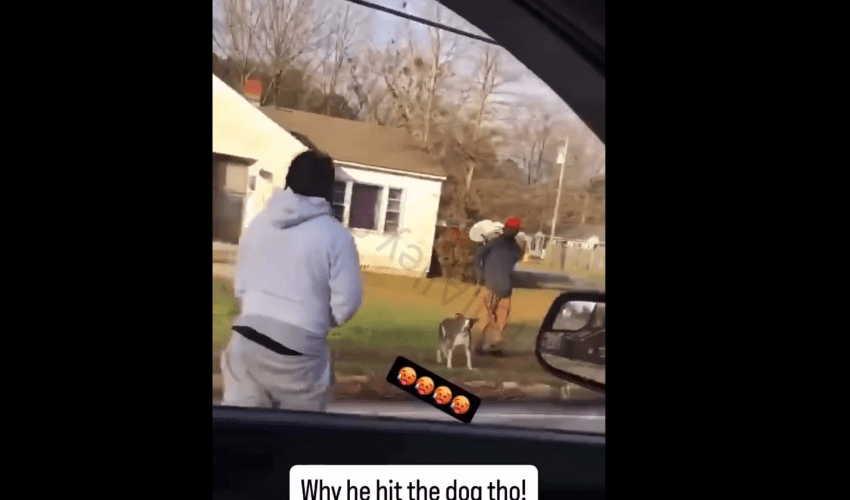 Dude Pulled Up With His Strap And Checked A Man And His Dog For Playing With His Money