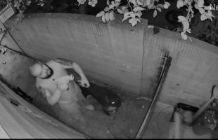 Thief That Was Scared Of Dogs Gets Caught By The Owner