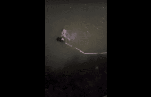 Police That Couldn’t Swim Saves A Woman And She Didn’t Even Grab His Hand Instead She Pushed Him Back To Grab The Rope