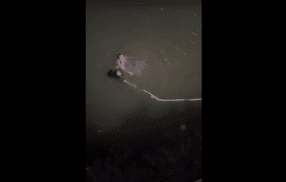 Police That Couldn’t Swim Saves A Woman And She Didn’t Even Grab His Hand Instead She Pushed Him Back To Grab The Rope