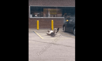 Nobody Tried To Help This Guy That Was Tweaking In Public