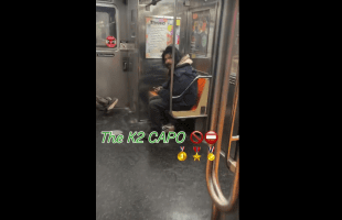 Dude Got Mad And Ran Off Two After He Caught Them Cheefing On K2 On The Train
