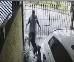 Dude Thought It Was A Good Idea To Steal While Two Dogs Was Present At The Home