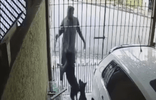 Dude Thought It Was A Good Idea To Steal While Two Dogs Was Present At The Home
