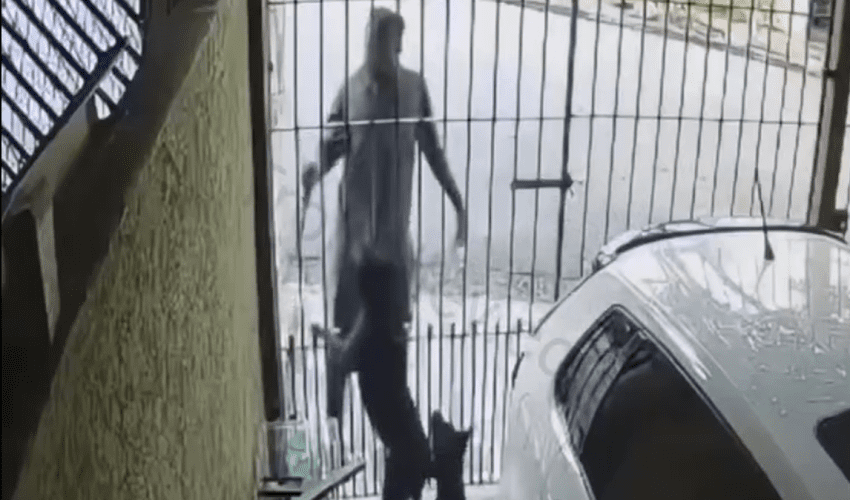 Dude Thought It Was A Good Idea To Steal While Two Dogs Was Present At The Home