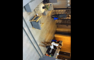 Robbers Dont Care For Baddies