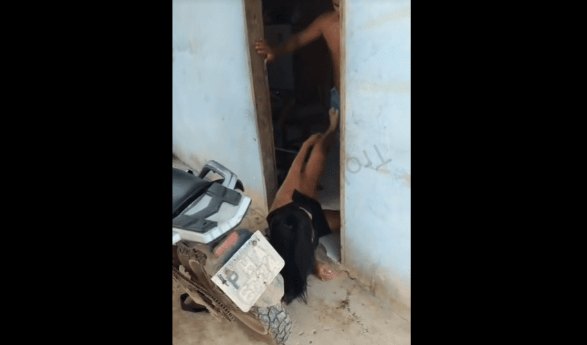 Woman Begs To Stay After Getting Thrown Out By Her Boyfriend