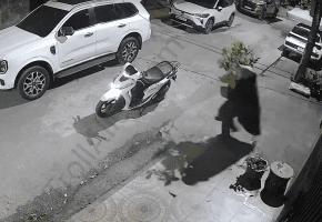 Flower Pot Thief On Motorbike Gets Instant Karma