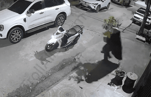 Flower Pot Thief On Motorbike Gets Instant Karma