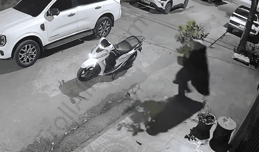Flower Pot Thief On Motorbike Gets Instant Karma