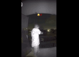 Dude Pulled His Strap After He Caught A Thief Running Off With His Son Backpack