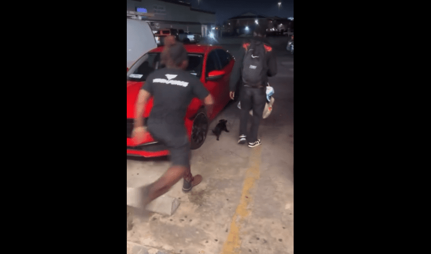 Dude Gets Mad After He Seen A Dog Owner Dragging His Small Puppy And Putting It In A  Bag