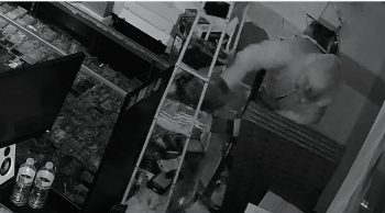 Thieves Use Next Door Store Dry Wall To Break Into Another Store That Had Expensive Items