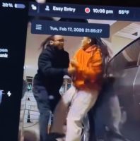 Man And A Woman Battles Each Other  Over A Tesla Charger