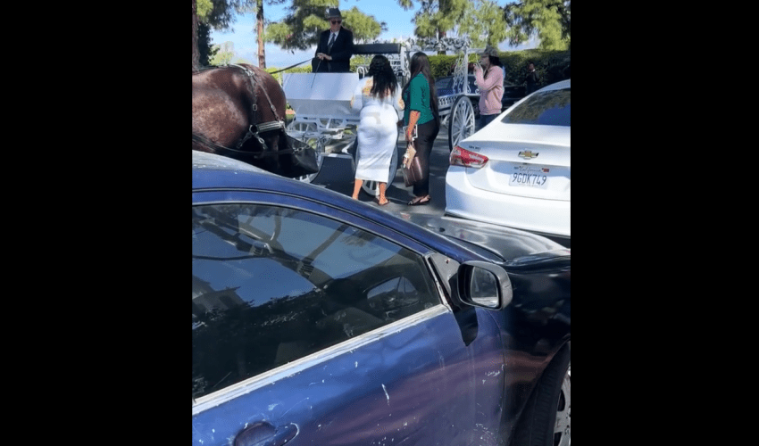 Mother Throws Bottle At Horse Handler For Wearing The Wrong Clothes At Her Son Funeral And Got Mad When He Threw It Back