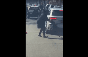 Bystanders Sits In The Car After Two Women Scream For Help After Pitbull Wouldn’t Let Go Of Their Hand