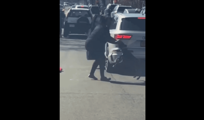 Bystanders Sits In The Car After Two Women Scream For Help After Pitbull Wouldn’t Let Go Of Their Hand