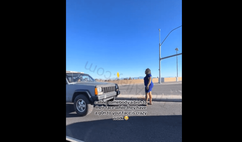 Woman Really Out Here Bucking A Gun That A Maga Supporter Pulled On Her