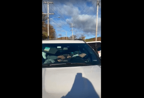 Dude Instantly Had A Seizure After Ice Agents Pulled Up On Him And His Family