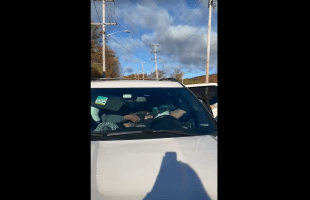 Dude Instantly Had A Seizure After Ice Agents Pulled Up On Him And His Family