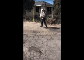 Customer Follows A Thief And Forced Him To Bring Items Back To The Store But Instead He Throwed Everything