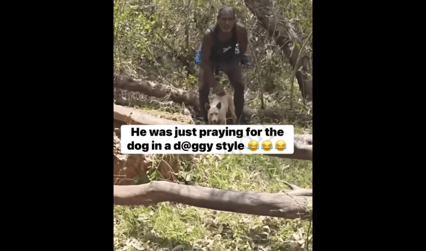 Dude Gets Caught In 4k With A Dog