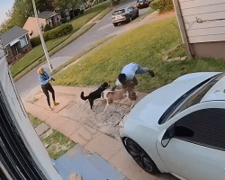 This Owner Instantly Stopped His Dog From Getting At His Neighbor Dog By Doing This