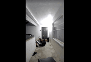 Dude Records After He Was Taken Down By Police K-9 Dog For Running From Police