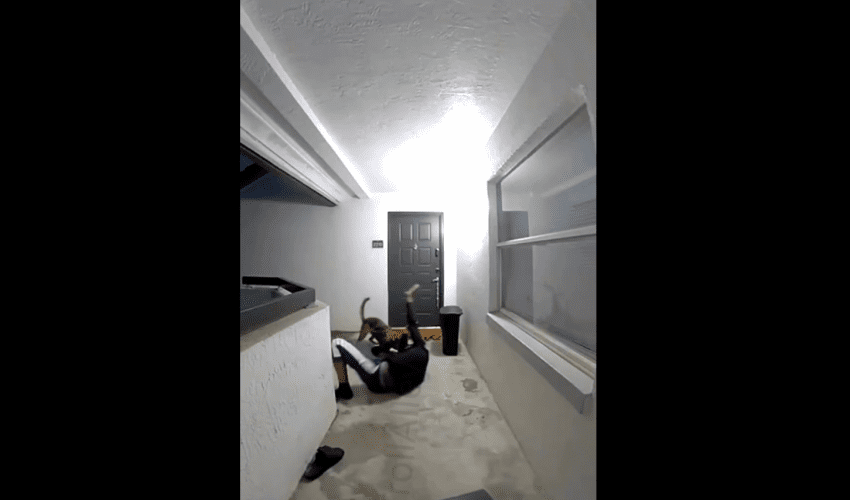 Dude Records After He Was Taken Down By Police K-9 Dog For Running From Police