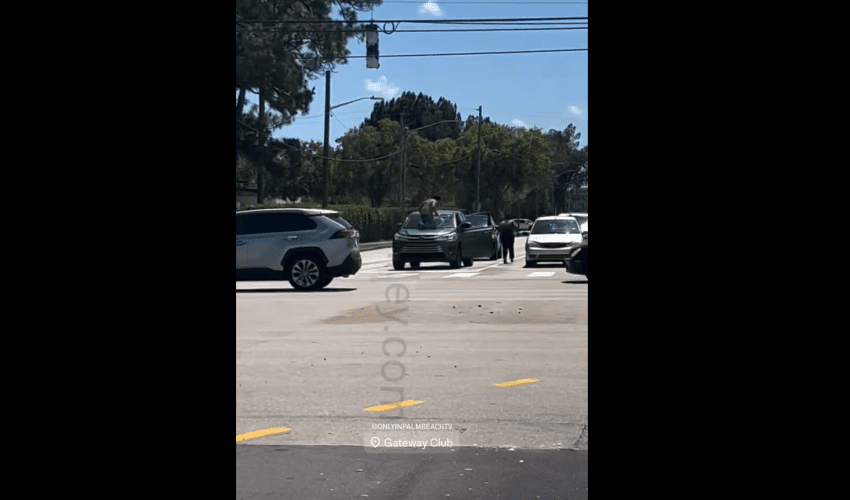 Woman Was Forced To Get Out Her Car Because Of A Laced Drug Addict Man