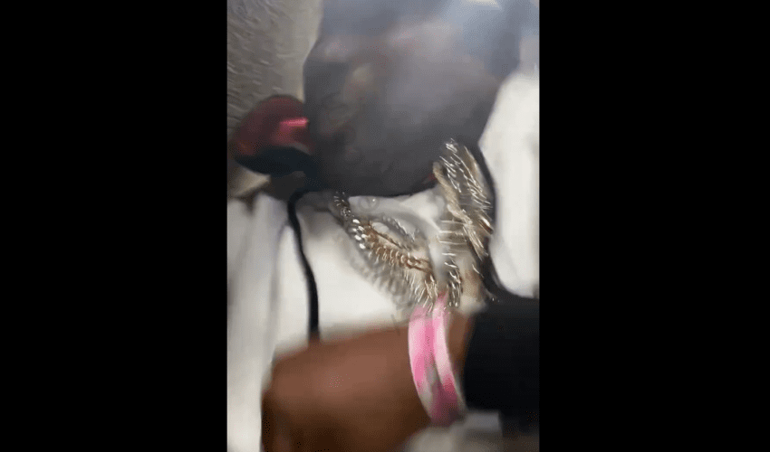 Man Gets His Face Rocked By A Woman After He Gripped Her Pouch When She Walked By