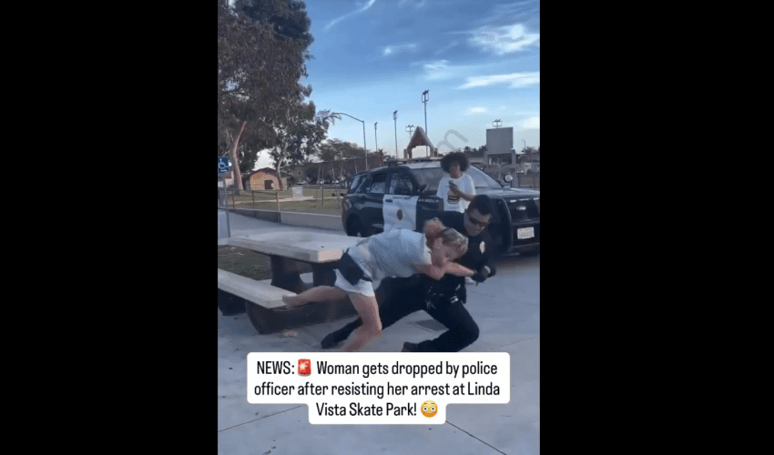 Woman Gets Dropped By Police For Resisting Arrest