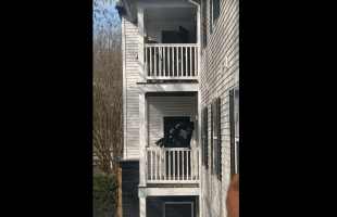 Police Said The Wrong Thing While Chasing A Guy About A Unpaid Bond