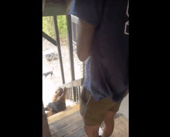 Man Poured A Bucket Of Shii Water On His Ex Girlfriend After She Kept Coming To His House After He Broke Up With Her