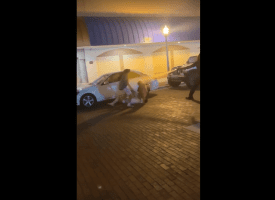 Security Sprayed 3 Men Like Roaches During A Heated Altercation Between Them