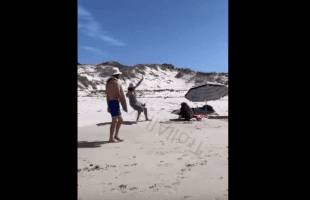 Family Got Mad After A Baboon Interrupted Their Picnic