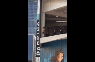 Bystander Encourages Man To Jump After Police Tried To Stop Him From Jumping